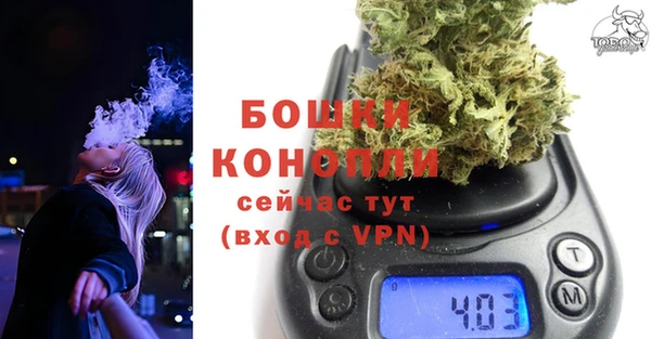 дурь Дмитриев